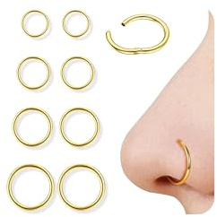 Diamday 8pcs Piercing Nez Anneaux 316L Acier Chirurgical Piercing Septum 16G/18G Hinged Anneau Segment Clicker Nez Piercing Oreille Helix Conch Tragus Daith Rook Boucles d'oreilles 6mm/8mm/10mm/12mm