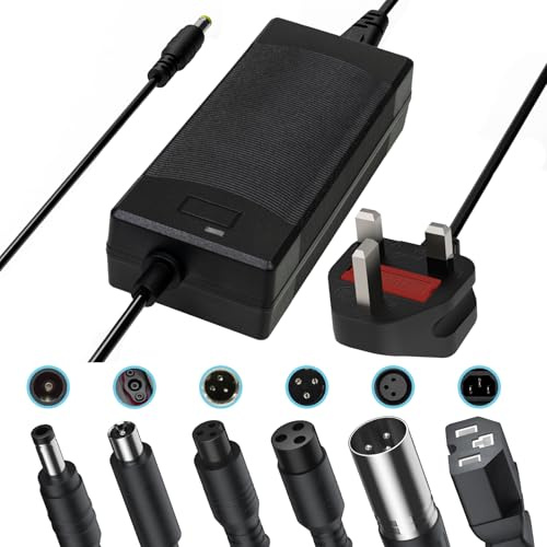 54.6V 2A Electric Bike Charger for 48V Lithium Battery, Input 110-240V, with 6 Jack Connectors (DC2.1MM / DC2.5MM / RCA 8MM / 3-P 8MM / 3-P 12MM/ 3-P XLR) (48V Ebike Battery Only)