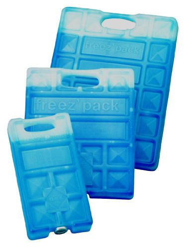 Campingaz Freez’Pack M10