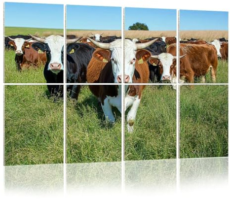 8 Pack Acoustic Wall Panels Sound Absorbing Wall Art acoustic foam hereford cattle grazing pictures royalty photos 48x32 Sound Proofing Panels for walls Decorative Noise Dampening