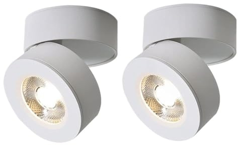 Adjustable Ceiling Light Surface Mounted Spotlight Accent Spot Lighting Indoor Wall Swivel Lamp, Aluminum Directional Spotlights 7W Living Room Mini Ceiling Lamps