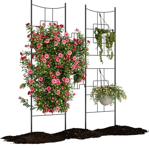 Garvee Arche et Panneau décoratif en métal Noir pour Jardin - Treillis pour Plantes grimpantes, Fleurs, légumes et Protection Anti-Animaux - Résistant à la Rouille, clôture Patio - Couleur : Noir, 1