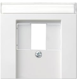 Gira 087627 Abdeckung Beschriftungsfeld TAE mit Stereo und USB System 55, reinweiß matt