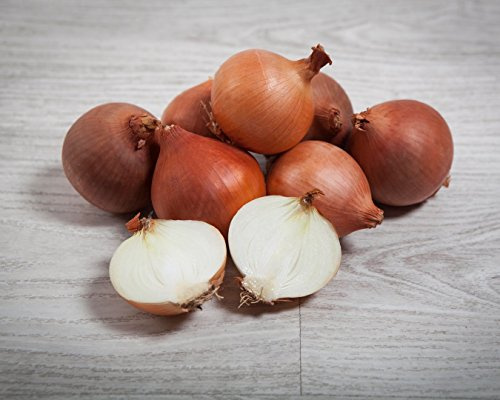 5 kg. Cebolla Grano (Común) tamaño MINI - Selección Gourmet