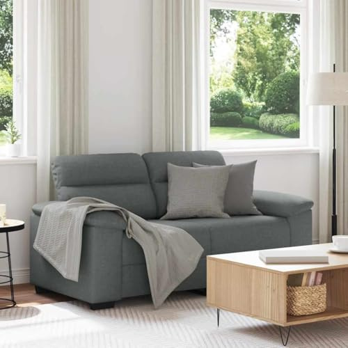 Hommdiy 2 Sitzer Sofa,Zweisitzer Sofa,Polstersofa mit 2 Armlehnen,Doppelsofa Moderne Couch Loungesofa, Loveseat für Wohnzimmer/Schlafzimmer, Dunkelgrau 120 cm breit Stoff
