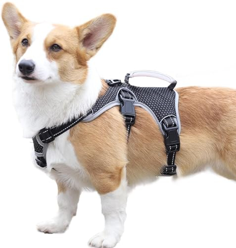 Paworld Sicherheitsgeschirr Hund Ausbruchsicher, Panikgeschirr für Hunde, Mehrzweck-Hundegeschirr, Reflektierend, Verstellbare Weste mit Griff, Hundegeschirr für Große/Mittelgroß Hunde (Schwarz, L)