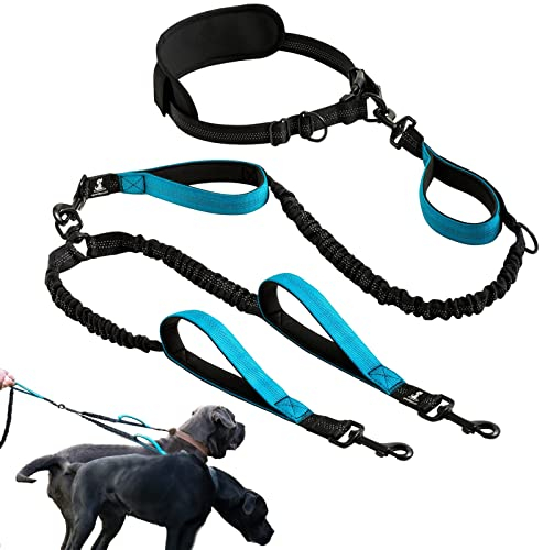 RAHBI Doppelleine für 2 Hunde, Hundeleine für kleine und mittelgroße Hunde, 6 feet, Schwarz, Nylon, Einfarbig mit Reflektierenden Nähten, Bauchgurt Hundeleine zum Laufen, Joggen, Wandern