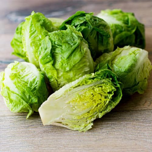 PflücksalatSamen, gemüsesamen alte sorten seltene wintergemüse salatsamen alte sorten 200pcs