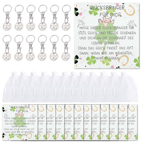 Set di 12 portachiavi a forma di gettone per carrello della spesa portafortuna con motivo a quadrifoglio e maialino portafortuna set regalo con biglietto e borsa regalo