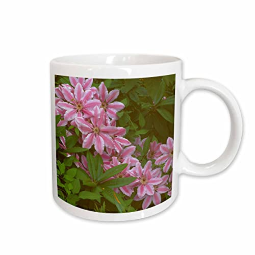 3dRose Oregon. Nelly Moser clematis flower - US38 JEG0026 - Julie Eggers 11oz Mug