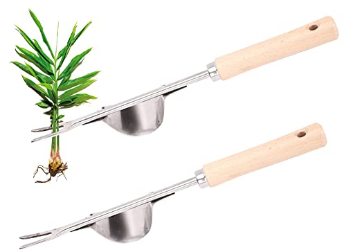 URCheers 2 STK Unkrautstecher, Manueller Unkrautjäter mit Holzgriff, Edelstahl Unkrautstecher Garten Manueller Weeder Unkrautschaufel für Garten, Umstoßen, Umpflanzen, Jäten, Entwurzeln