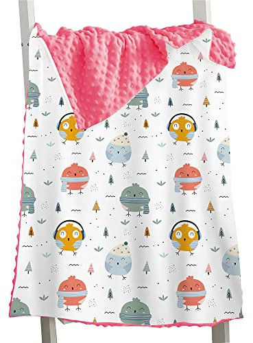 Hixingo Kinderdecke Kuscheldecke Wohndecke, Tierdruck Weiche Warm Minky Gepunktete Decke Krabbeldecke Doppelseitige Blanket für Mädchen und Junge (Eule 2,150x110cm)