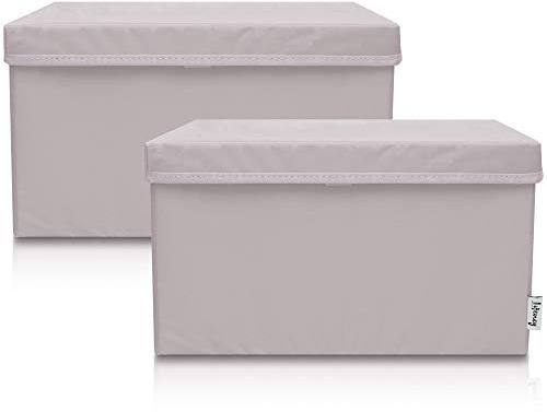LIFENEY 2-Set Aufbewahrungsbox Kinder (37x25x21cm) I Aufbewahrungskorb für Kinderzimmer und Wohnbereich I Kinder Aufbewahrungskiste (Hellgrau)