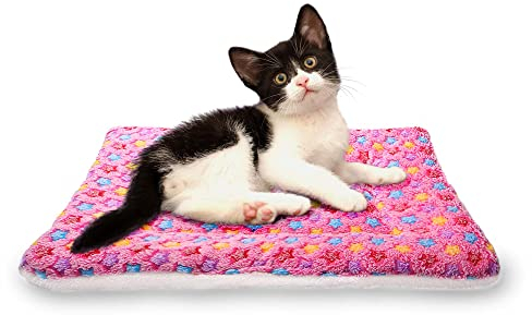 FJWYSANGU Flauschige Haustier-Katzendecke, weicher Korallensamt, Haustier-Kissen-Matte, warmer Bezug, weiche Matte, Größe M, Rosa