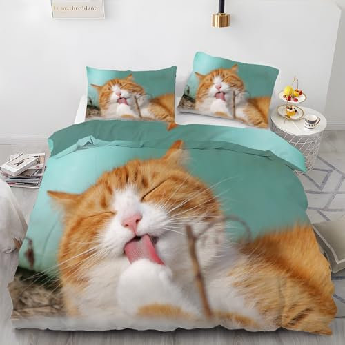 BettwäSche 220x240 Orangene Katze Bettbezug mit 2 Kissenbezug 80x80 Weiche und Angenehme 120g Mikrofaser Bettwaren Benimm Dich Süß Bettwäsche-Sets 3-Teilig mit Reißverschluss für EinzelbettDoppelbett