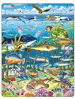Larsen Puzzles FH13 Kinder Rahmenpuzzle Meeresleben Nordatlantik, 60 Teile, ab 4 Jahre, Lernspielzeug, Konzentration, Spielspaß