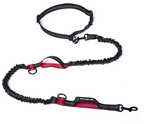 Mile High Life handsfree midjekoppel för hundlöpning, träning och jogging, justerbart bälte med dubbla handtag, reflekterande bungee-band för medelstora hundar (röd, 18 cm)