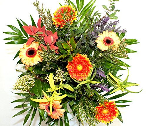 Blumenstrauß „Frühling in der Provence“ – Ø 40 cm, Gerbera & Beiwerk, Frisch & Langlebig, Ideal für Geburtstagsgeschenke, Jubiläen & Anlässe – Kostenloser Blumenversand & Glückwunschkarte