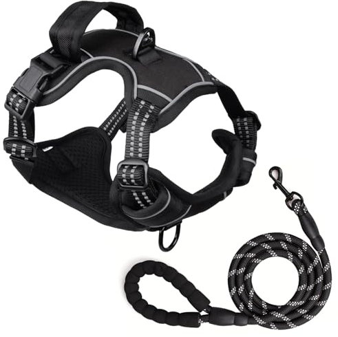 Hundegeschirr und 1.5m Leine Set, Brustgeschirr für Kleine Mittelgroße Grosse Hunde, Weich Atmungsaktiv Einstellbar Reflektierend Hundegeschirr Anti Zug (Schwarz, S)