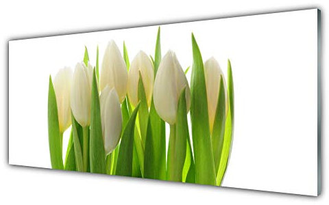 Tulup Acrylic Glass Print 125x50cm Wall Art - Wall Picture Plastic Acrylic Glass - Tulips Floral