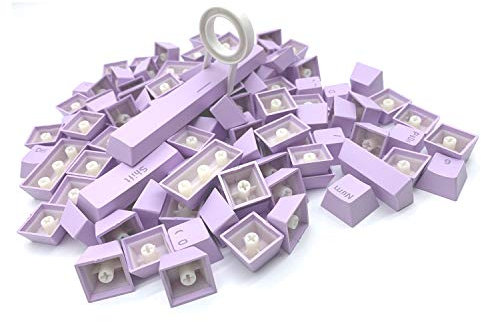 Keycaps for Mechanical Keyboard Compatible with MX Switches Doubleshot Support Led Lighting Keycaps OEM Profile for DIY Gaming Mechanical Keyboard 104 Keys (Light Purple)