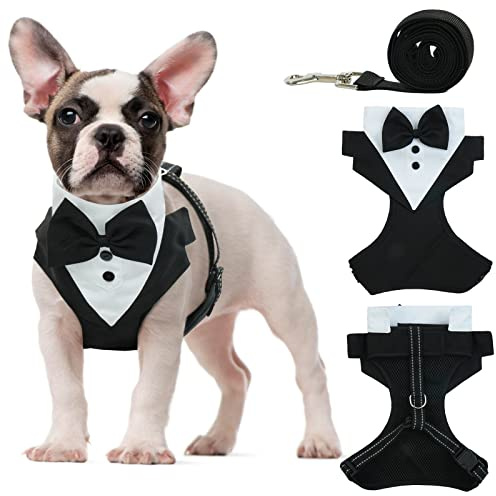 OUOBOB Harnais de smoking pour chien anti-traction avec laisse, costume de mariage réglable avec nœud papillon pour chiens de petite et moyenne taille, anniversaire, promenade (noir, taille L)