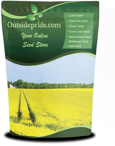 Outsidepride Trophy Forage Rape Seed - 5 Lbs Heat, Cold & Drought-Tolerant Brassica Food Plot Seed, Ideal for for Deer & Livestock Grazing, Fall Planting, Soil Improvement, & Erosion Control