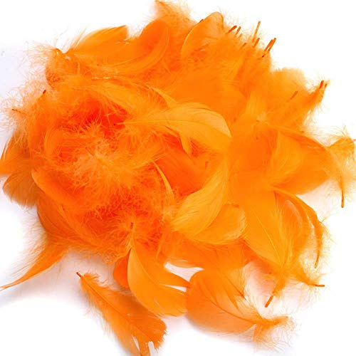 Suneast 300 Stücke Federn Dekoration Natürliche Gänsefedern Weiche Crafts Feather Indianer Federn für Traumfänger Basteln, Kostüme Hüte Schmuck Deko, DIY Ohrring - Orange, 8-12cm