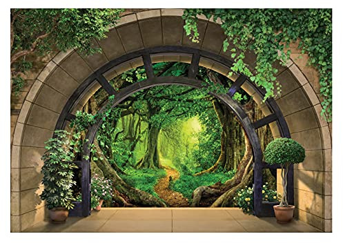 Fototapete 3D EFFEKT Fenster Waldweg Natur Ausblick Kinderzimmer Vlies Tapete inklusive Kleister Wandtapete UV-Beständig Montagefertig (14093, V8 (368x254 cm) 4 Bahnen)
