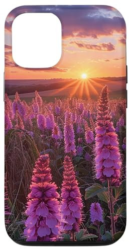 iPhone 13 Pro Anise Hyssop Flower Field Beautiful Sunset Graphic Case