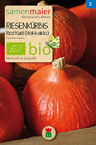 BIO Kürbis Red Kuri (Hokkaido) Samen - Fruchtgewicht 1,5 kg, ertragreiche Sorte - Aussaat April bis Juni - Ernte Juli bis Oktober - reicht für ca. 5 Pflanzen - Samen Maier