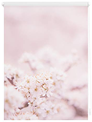 Lichtblick Klemmfix Verdunklungs-Rollo mit Motiv, ohne Bohren, Blickdicht, Seitenzugrollo, Made in Germany, Kirschblüten - Rosa Weiß 100 x 150 cm