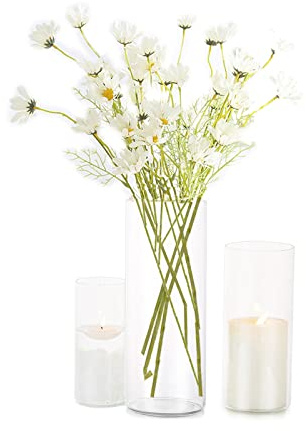 Zylindervase Bulk Klar Eylkoi - Kerzenhalter Glas Set Glaszylinder Mehrere GrößEn, 3 StüCk/Set Kleine Vasen füR Tischdeko, Vase füR Pampasgras Groß Tischdeko FüR Die Hochzeit, 15cm+20cm+25cm(Hoch)