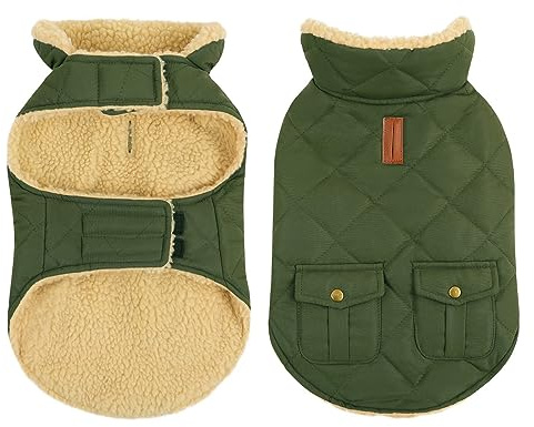 CITÉTOILE Abrigo para Perro Impermeable y Antiviento – Chaqueta Térmica de Invierno con Forro de Lana, Ropa Cálida para Perros con Agujeros de Correa y Reflejantes, Verde, M