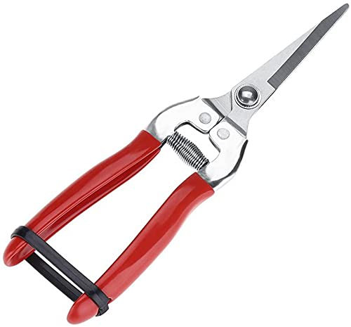 Tijeras de podar de Mano para jardinería Tijeras de podar Tijeras de podar de Punta Micro Cortadora de Hojas Tijeras de floristería Rectas para Plantas Tijeras