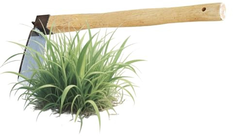 Lpoppcx Sarcloir à Main Binette - Petit Outil De Jardinage Robuste | pour l'Enlèvement de l',pour Adultes Femmes Usage Extérieur au Jardin Cour Terrasse Balcon et