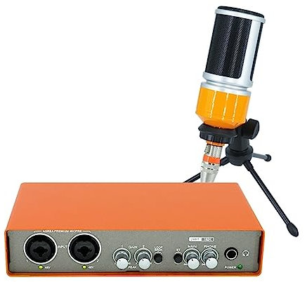OLSKFUH Kit De Carte Son Microphone Interface Audio Carte Son D'Enregistrement Mélangeur De Guitare Électrique Console De Mixage Professionnelle Site De Studio Configur,