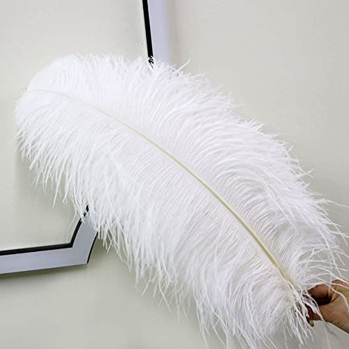 10 Stück natürliche weiße Straußenfedern zum Basteln, DIY-Pflaumenfedern, Schmuckherstellung, Hochzeit, Party, Weihnachten, Plumas-Dekoration, 15–70 cm, kleine Stange 45–50 cm