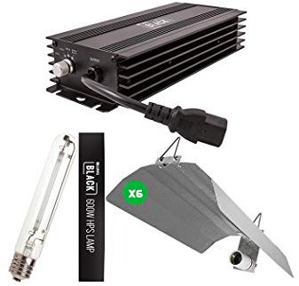 LUMII BLACK Electronic 600w Grow Light Kit - x6