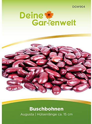 Kidneybohne Augusta Samen - Phaseolus vulgaris - Kidneybohnensamen - Bohnensamen - Gemüsesamen - Saatgut