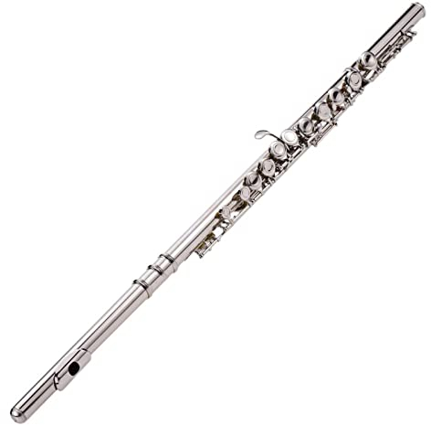 DZDZDZ querflöte Instrument Flöte Vernickelt 16 Löcher C Schlüssel Cupronickel Woodwind Instrument & Reinigung Tuch Stickhandschuhe Mini Gepolsterte Tasche Einsteigerflöte