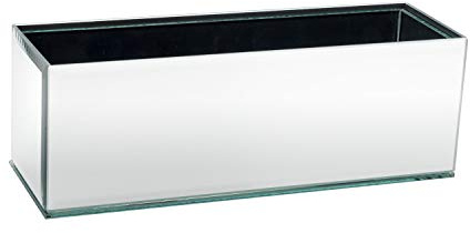 Royal Imports blomvas, glasvas, dekorativ tavla för hem eller bröllop, avlång, rektangulär form, 30,5 cm lång, 10,2 cm hög, 10,2 cm bred, spegel