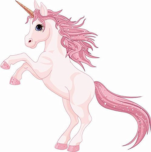 U24 Aufkleber Einhorn Motiv Nr. 6 Autoaufkleber 18 x 18 cm Sticker