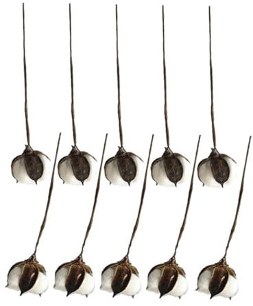 PRETYZOOM 10 Stück Künstliche Baumwollzweige 30cm Weiß Getrocknete Baumwollstängel Flexibel Bauernhausstil Blumendekoration für Zuhause und Blumenarrangements