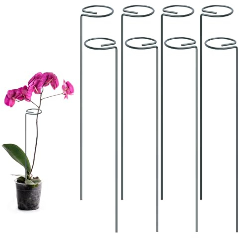 Fyshird Lot de 8 supports de plantes ronds en métal de 40 cm pour roses, tomates, lys, pivoines, plantes en pot