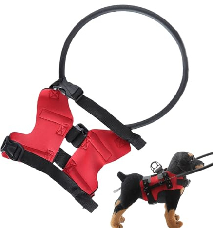 Help for Blind Dogs | Eye Protection Collar - Adjustable Safety Collar with Bumper Ring - Confidence Building Safe Walking Accessory