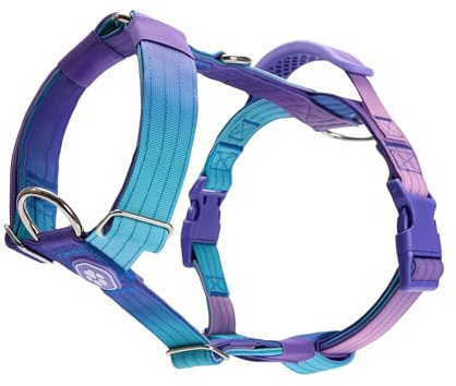 Spark Paws No Pull Dog Harness with Handle for Large Dogs, Heavy Duty Dog Harness for Big Strong Breeds, Adjustable, Y Shaped Padded Halter Design with Front Clip - 90s Retro - M