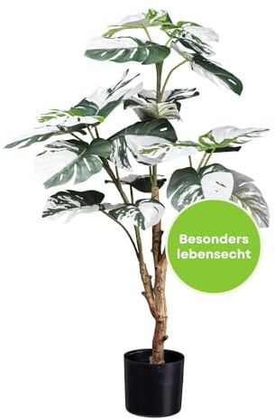 CREATIV green Monstera Plante artificielle Monstera Deliciosa Variegata avec terre et pot en noir 80 cm Plante artificielle Monstera facile d'entretien avec 21 feuilles