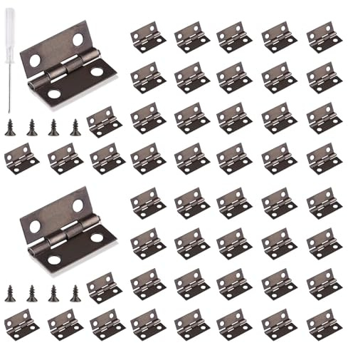Roosea Charnières Miniatures 60 Piéce Mini Charnières Rétro Petites Charnière Charnière pour boîte à bijoux avec Tournevis et 240 Vis, 15mm*18mm, Rétro