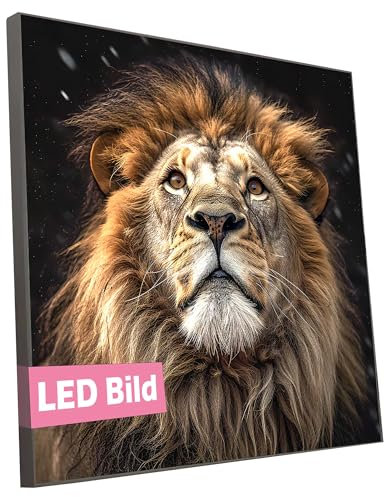 sedax Beleuchtetes Wandbild - Löwe Rising - Modernes Leuchtbild mit Leuchtrahmen - Tier Natur Wild LED Bild - Wanddeko für tolle Atmosphäre (Leuchtrahmen: Weiß Matt, 40x30 cm, LED Leuchtrahmen)
